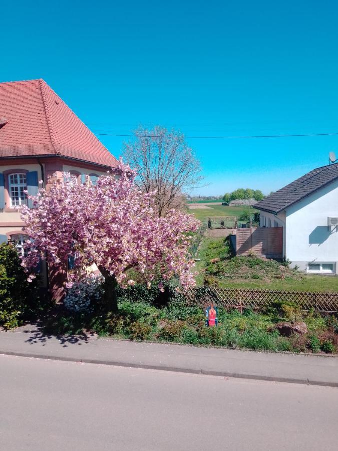 Gaestehaus Brunhilde Wittenweier Екстер'єр фото